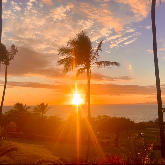 Meet your Posher, Mary - Picture 13 of 14